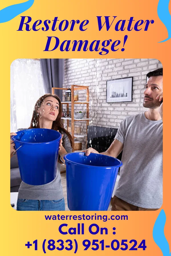 water restoration Capital Flood Damage Services Green Island