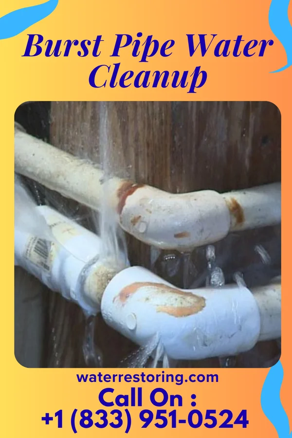 Burst Pipe Water Cleanup in Green Island, NY