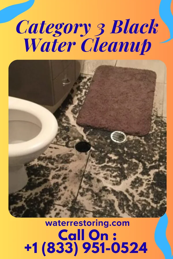 Category 3 Black Water Cleanup in Green Island, NY