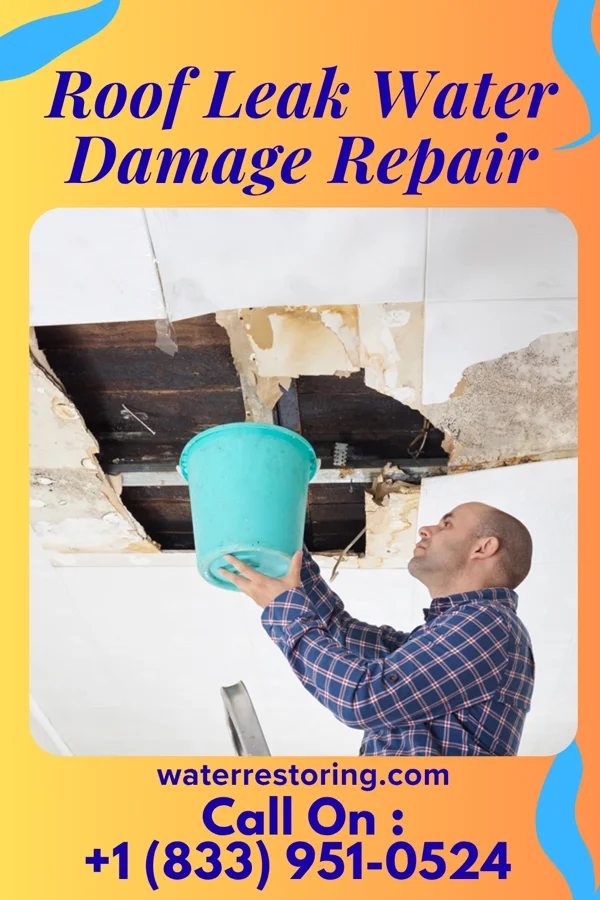 Roof Leak Water Damage Repair in Green Island, NY