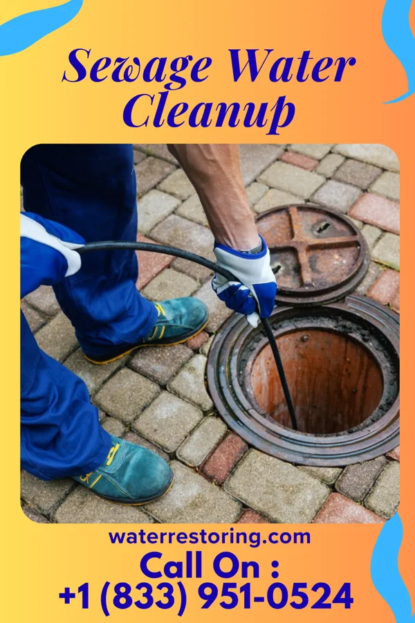 Sewage Water Cleanup in Green Island, NY