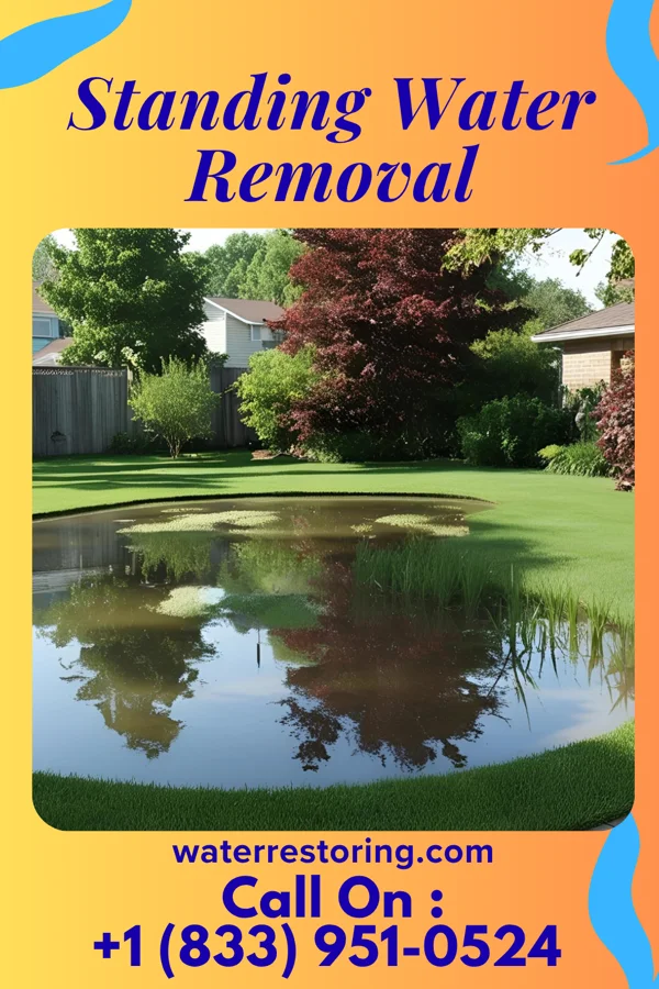 Standing Water Removal in Green Island, NY